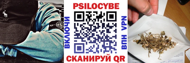 Псилоцибиновые грибы Cubensis  Долгопрудный 