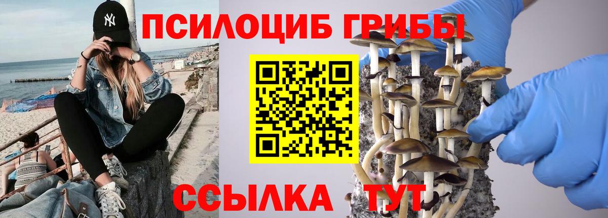 Галлюциногенные грибы мицелий  Вход с VPN  Долгопрудный 